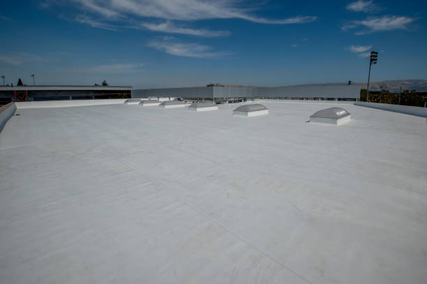 Best Flat Roofing  in Columbia, KY