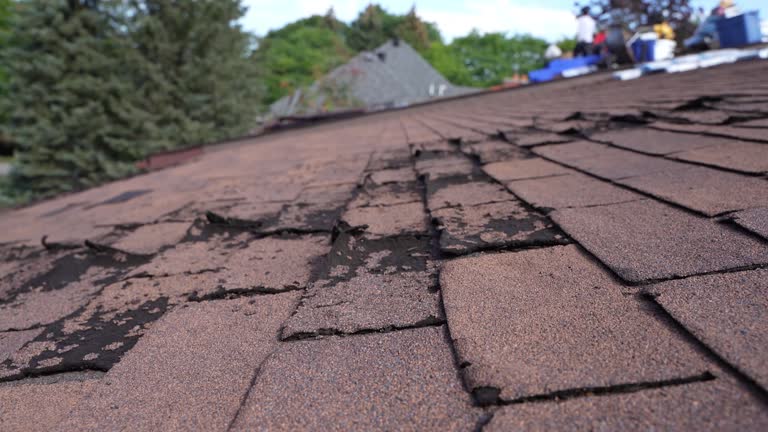 Best Roof Moss and Algae Removal  in Columbia, KY