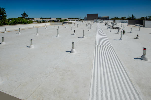 Best Asphalt Shingles Roofing  in Columbia, KY